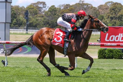 sa derby field|South Australian Derby 2023 Results: Dunkel Breaks Promises.